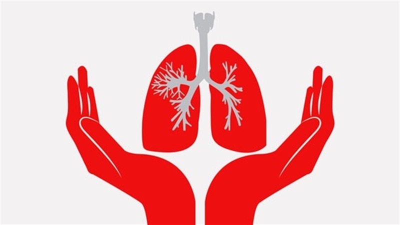 Титульне фото